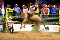 Sunday Bull Riding SHERID Cody Johnson (77)
