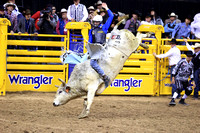Round 7 Bull Riding (2564) Creek Young, Pookie Holler, Dakota