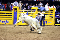 Round 7 Bull Riding (2567) Creek Young, Pookie Holler, Dakota