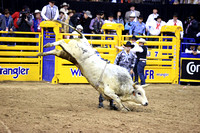 Round 7 Bull Riding (2568) Creek Young, Pookie Holler, Dakota