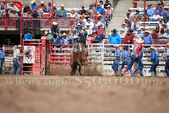 Cheyenne Saturday (3426)