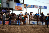 MIles City Bucking Horse Futurity Section one
