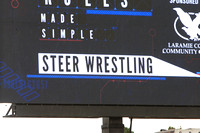 Cheyenne 19' Steer Wrestling Saturday