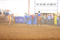 TEam Roping