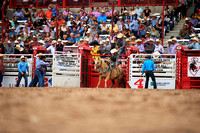 Cheyenne Saddle Bronc Monday Section Two