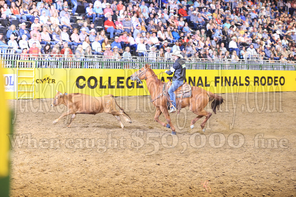 Friday Perf Steer Wrestling Cooper Bradshaw CAZC(631)