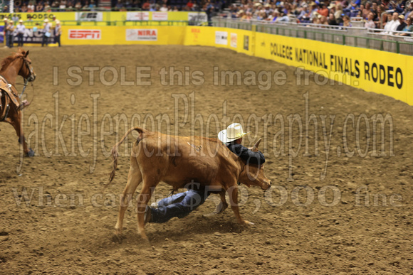 Friday Perf Steer Wrestling Cooper Bradshaw CAZC(628)