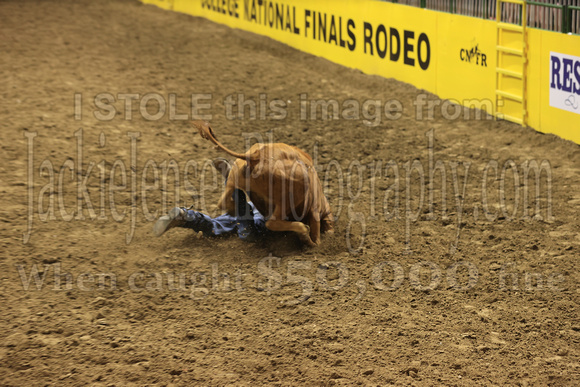 Friday Perf Steer Wrestling Cooper Bradshaw CAZC(626)