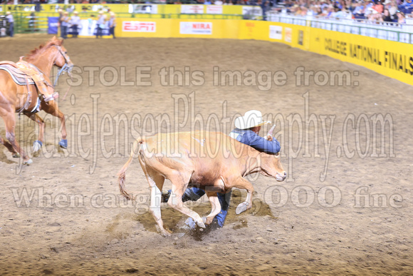 Friday Perf Steer Wrestling Cooper Bradshaw CAZC(629)