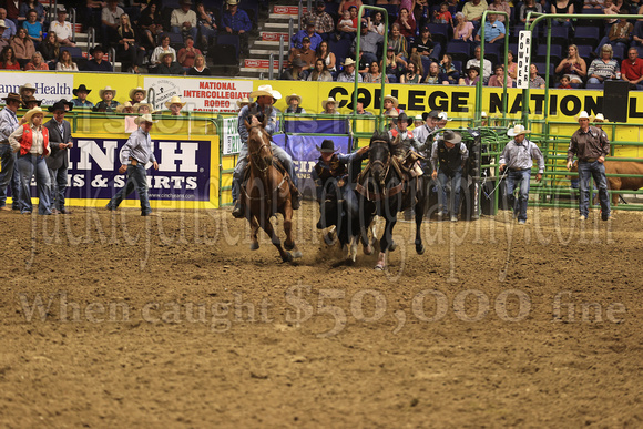 Friday Perf Steer Wrestling Brice Patterson UWY(658)