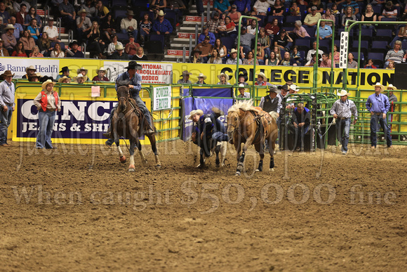 Friday Perf Steer Wrestling Quade Potter MIDPLN(698)