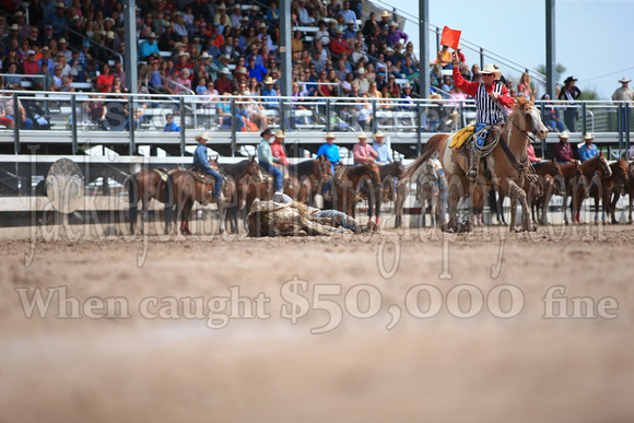 Cheyenne Saturday (2700)