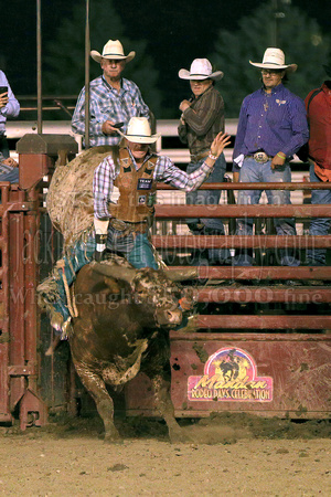 Mandan perf one (5391)-Brady Portenier, 88 points on Dakota Rodeo's Humdinger