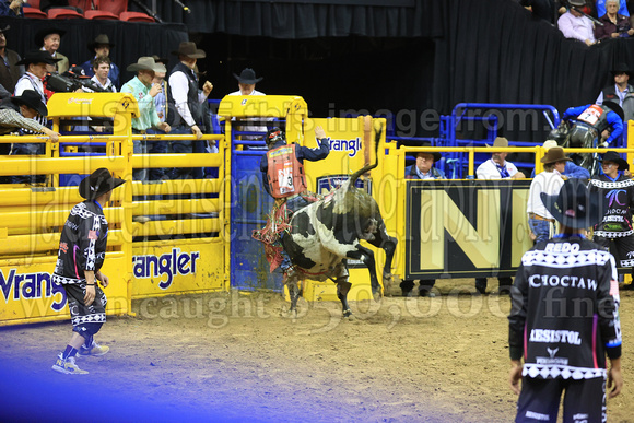 Round 6 Bull Riding (822) Josh Frost, Wrangler Jeans, New Star