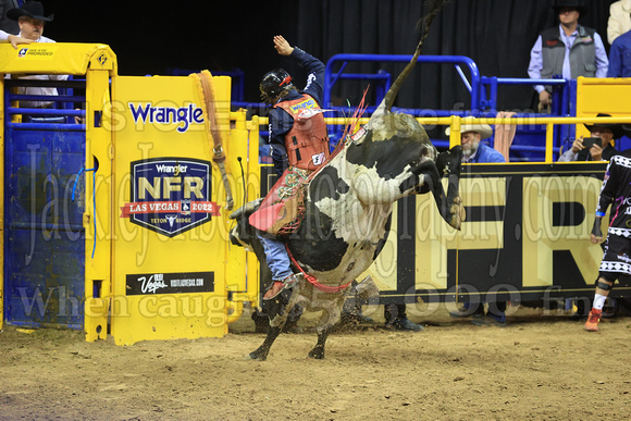 Round 6 Bull Riding (835) Josh Frost, Wrangler Jeans, New Star