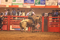 Rodeo Rapid Extreme Bulls (799)