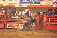 Rodeo Rapid Extreme Bulls (792)