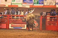 Rodeo Rapid Extreme Bulls (795)