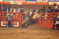 Rodeo Rapid Extreme Bulls (783)