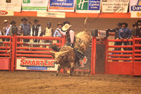 Rodeo Rapid Extreme Bulls (793)