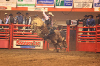 Rodeo Rapid Extreme Bulls (790)