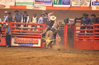 Rodeo Rapid Extreme Bulls (785)