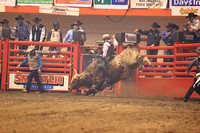 Rodeo Rapid Extreme Bulls (784)