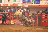 Rodeo Rapid Extreme Bulls (797)