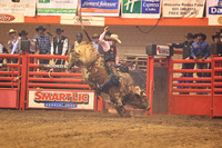 Rodeo Rapid Extreme Bulls (791)