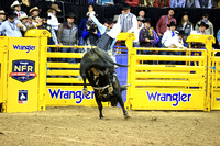 Round 4 Bull Riding (2923)  Creek Young, Wicked Sensation, Rafter H