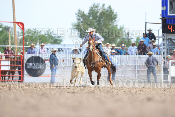 Cheyenne Short RD Steer Trippin (254)