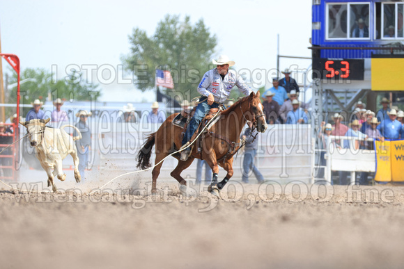 Cheyenne Short RD Steer Trippin (262)