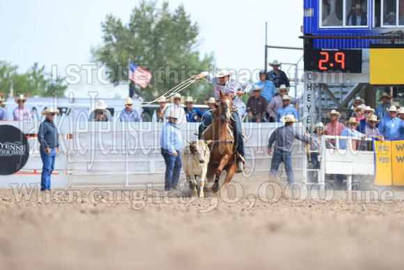 Cheyenne Short RD Steer Trippin (252)