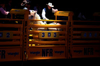 NFR RD Five (5)