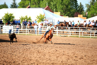 Cheyenne Steer Trippin Slack (7)