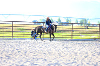 Western Horse Clases