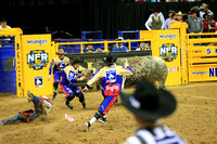 Best of Bull Fighters