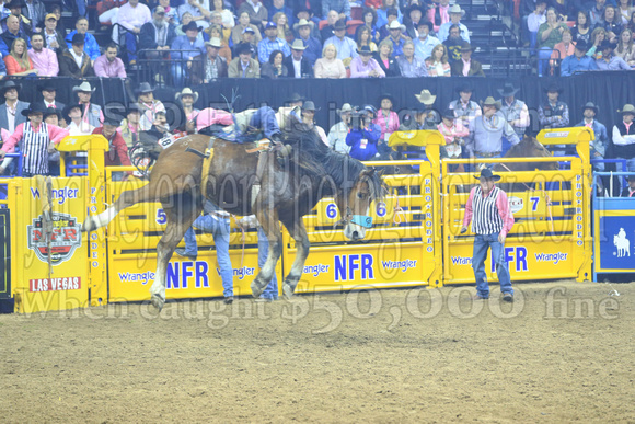 NFR RD Five (334)