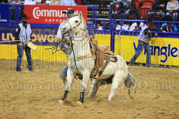 NFR RD ONE (3976) Tie Down Roping, Tuf Cooper