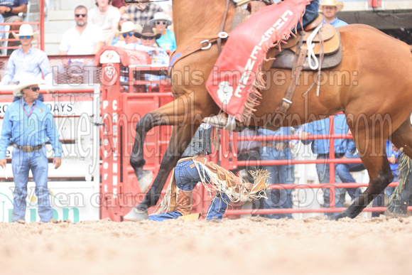 Cheyenne Semi Finals Friday (2485)