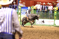 Tuesday Bull Riding IDSU Brock Udy (9)