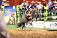 Tuesday Bull Riding IDSU Brock Udy (2)