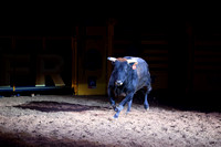 NFR RD Three (2510) Bull of the Year, Chiseled, Powder River
