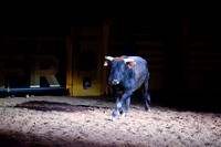 NFR RD Three (2509) Bull of the Year, Chiseled, Powder River