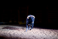 NFR RD Three (2512) Bull of the Year, Chiseled, Powder River
