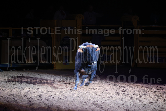 NFR RD Three (2512) Bull of the Year, Chiseled, Powder River
