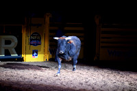 NFR RD Three (2507) Bull of the Year, Chiseled, Powder River