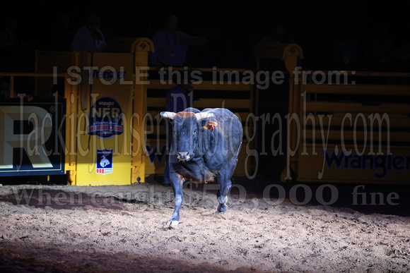 NFR RD Three (2507) Bull of the Year, Chiseled, Powder River