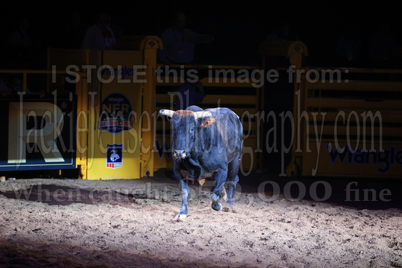 NFR RD Three (2508) Bull of the Year, Chiseled, Powder River