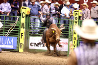 Sunday Night Bull Riding Colby Strickland WHILLS Draft Pick (147)